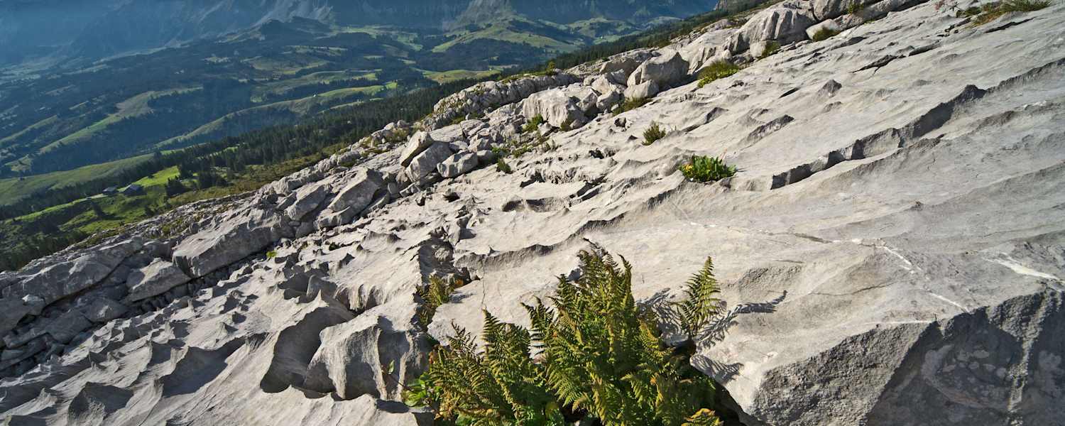 Biosphäre Entlebuch