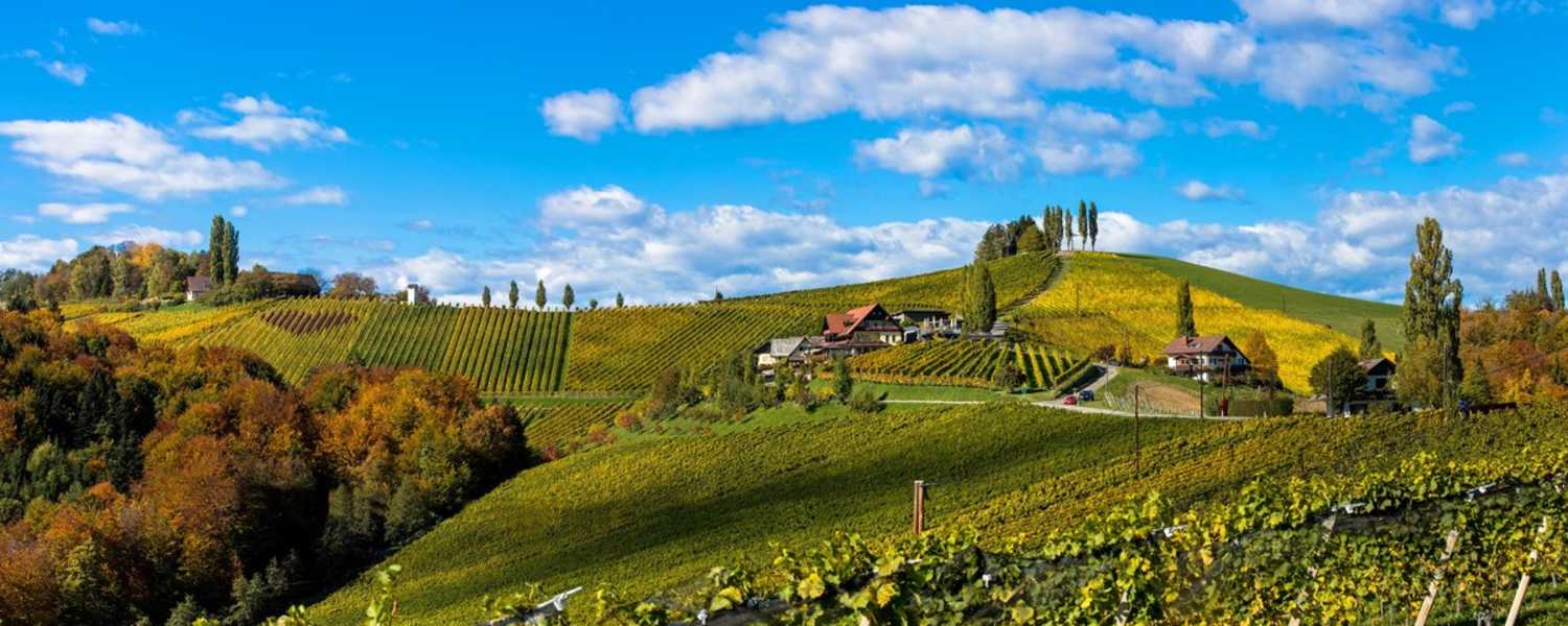 Wunderschöne Weinberge entlang der Südsteirischen Weinstraße 