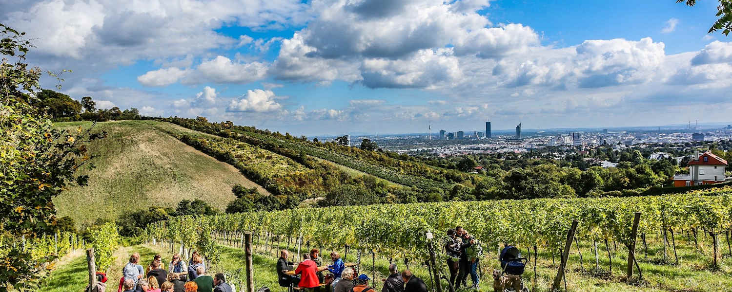 Wiener Weinwandertag