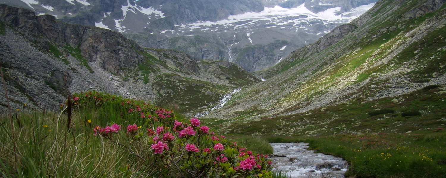 Ruhegebiet Hochgebirgs-Naturpark Zillertaler Alpen