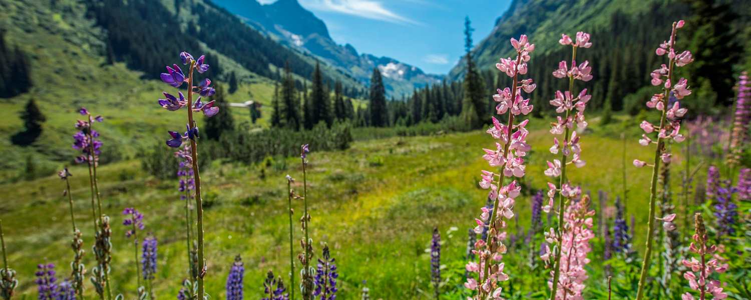 Erste Etappe auf der Runde durch die Verwallgruppe: zur Konstanzer Hütte