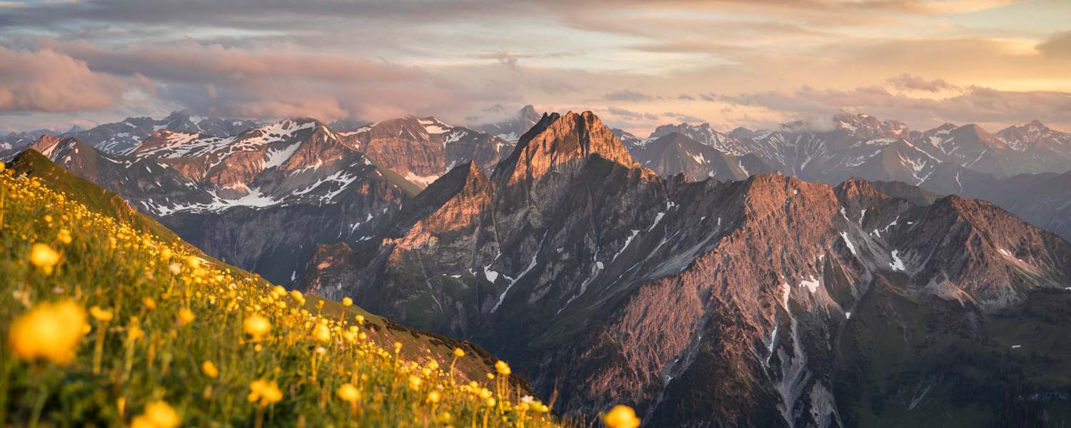 sommer in oberstdorf, berggipfel, blumenmeer