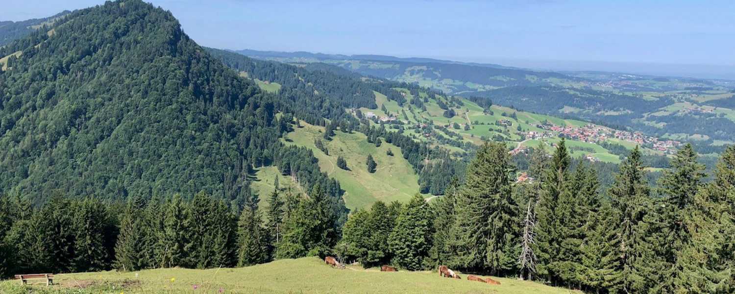 Blick auf Steibis vom Prodel