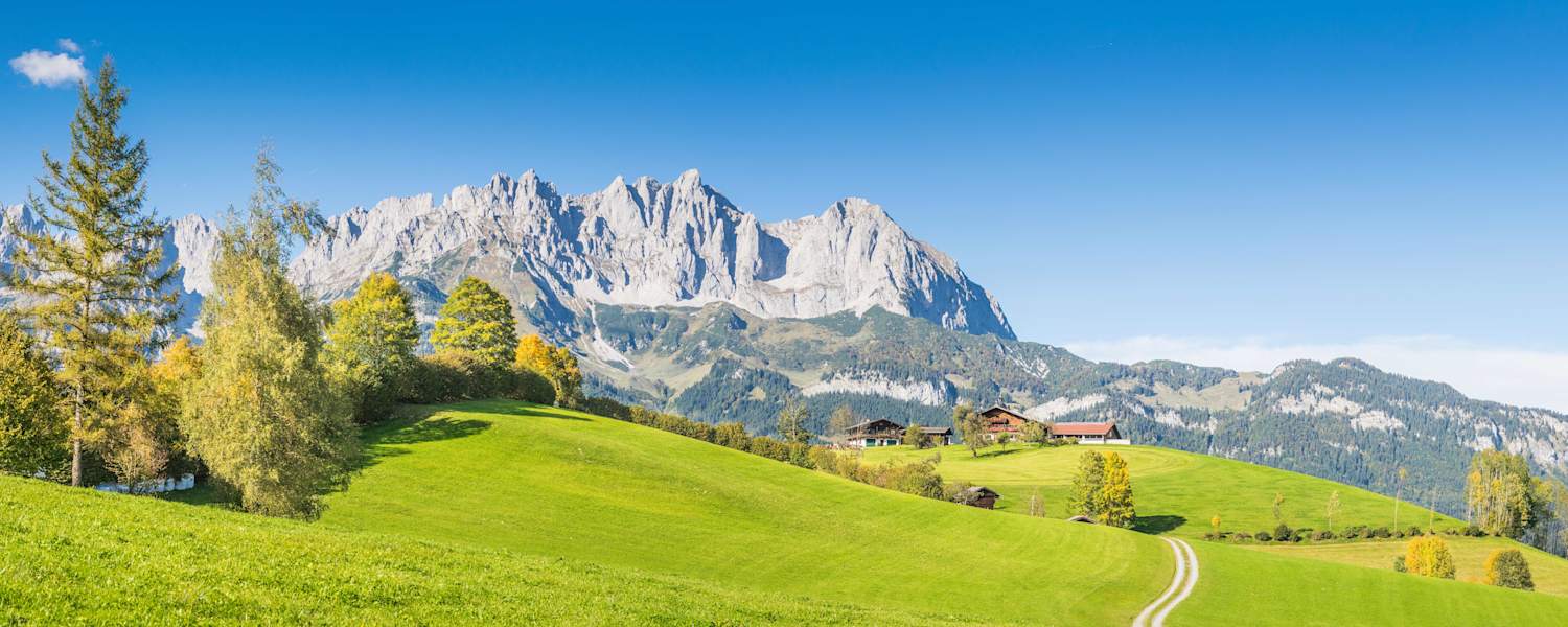 Ausblick auf den Wilden Kaiser