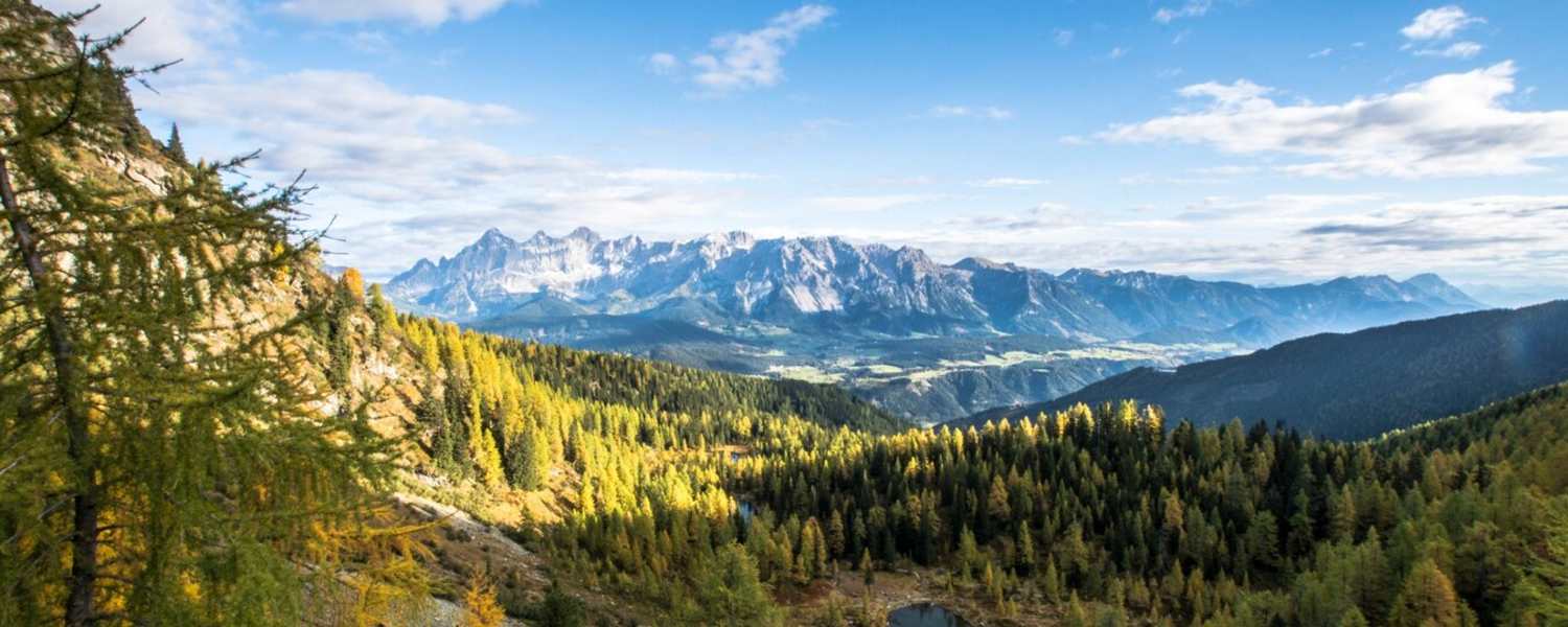Blick vom Weg Nr. 66 auf den Untersee