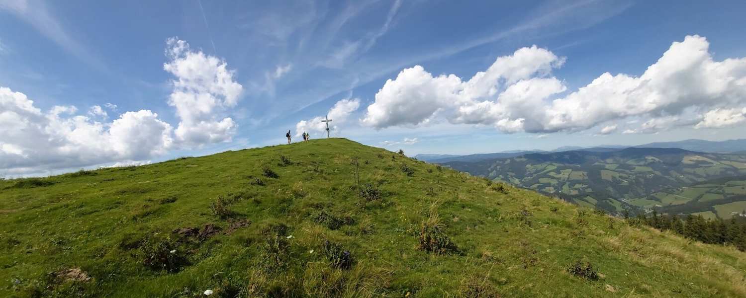 Plankogel auf der Sommeralm