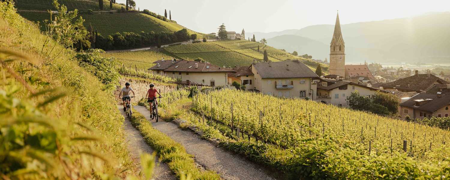 Mit dem Bike oberhalb von Tramin