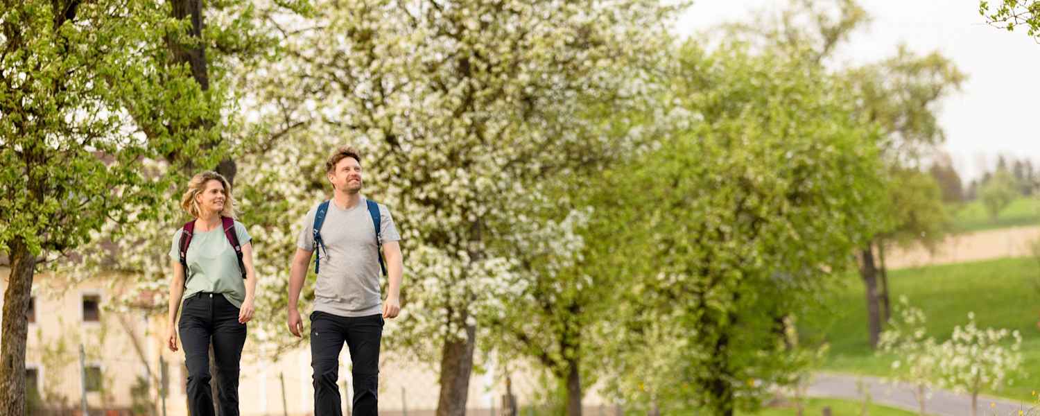 Herz des Mostviertel