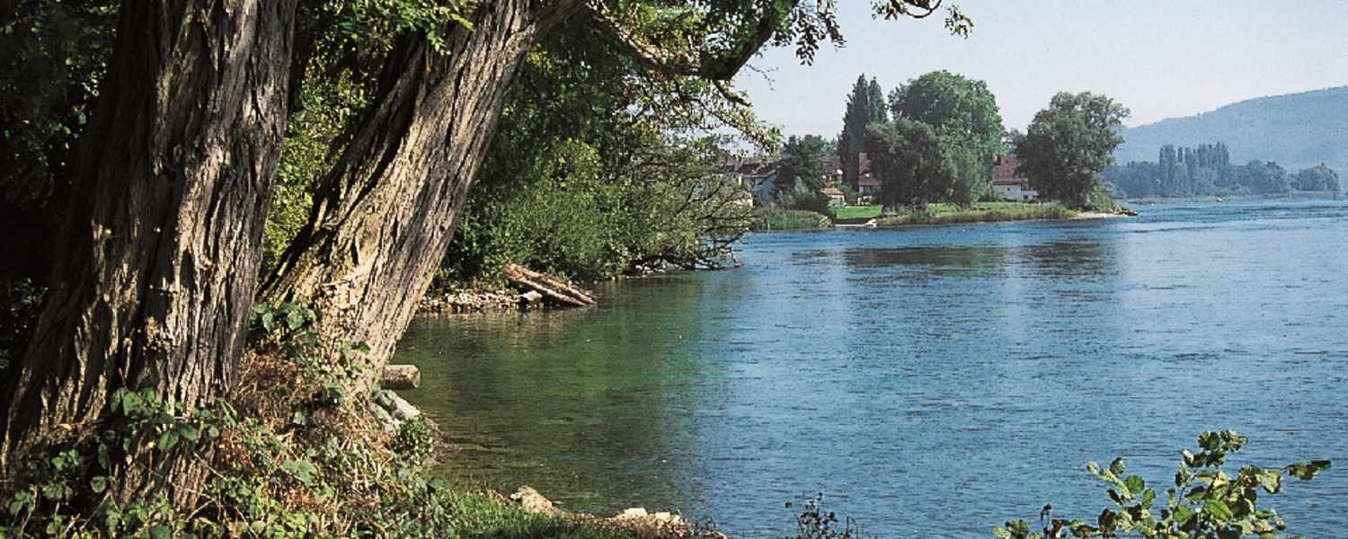 Bei Steigen verlässt der Hochrhein den Bodensee