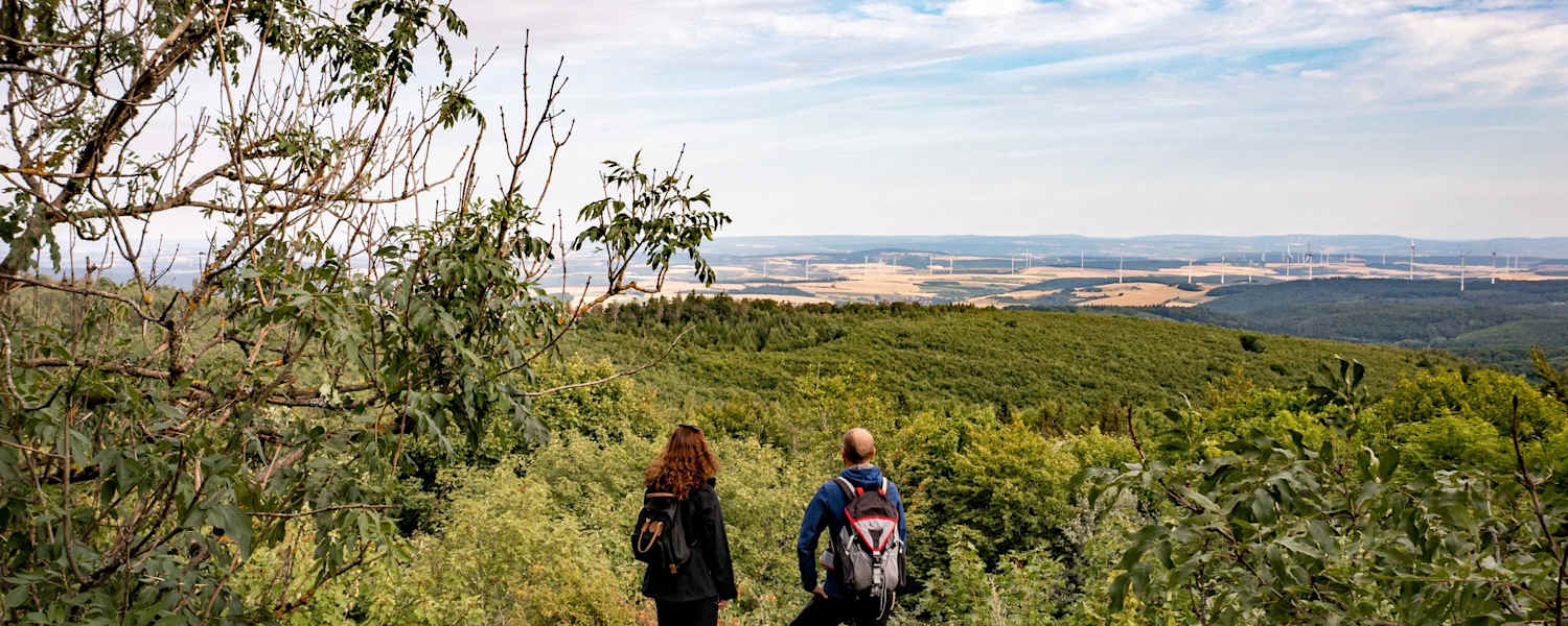 Aussicht Königsstuhl am Donnersbergmassiv