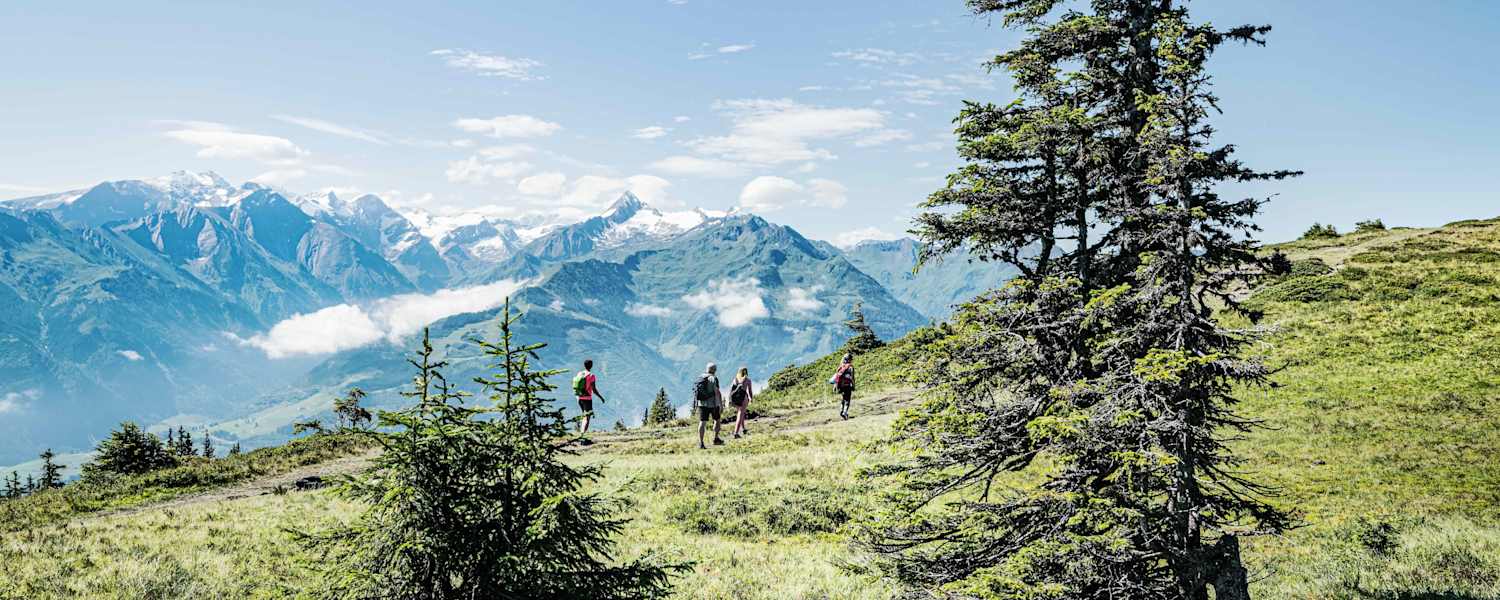 Am „Pinzgauer Spaziergang“ mit herrlicher Aussicht in den Nationalpark Hohe Tauern