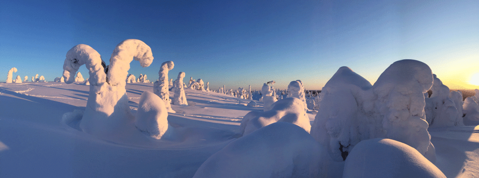 Wundervolle Schneeformationen hat der Wind hier in Finnisch Lappland geformt