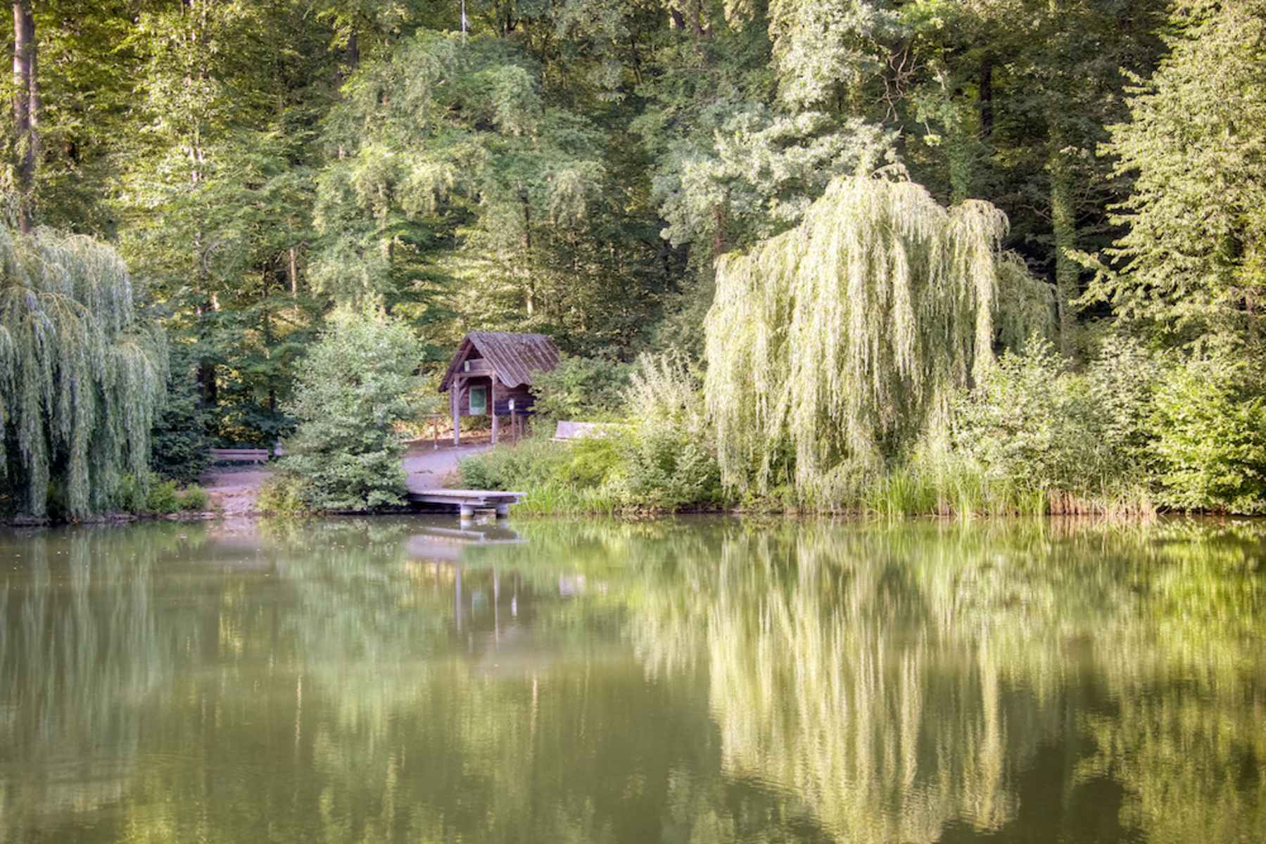 Wandern: Romantische Tour am Eppinger Jgersee - 1:00 h - 3 km -  Bergwelten