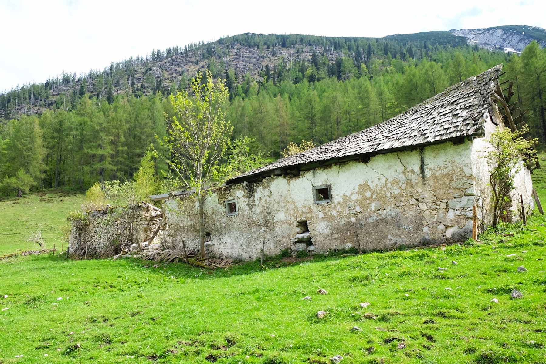 Rustikale Alte Hütte Im Wald. Duschvorhang, image size:1799x1200
