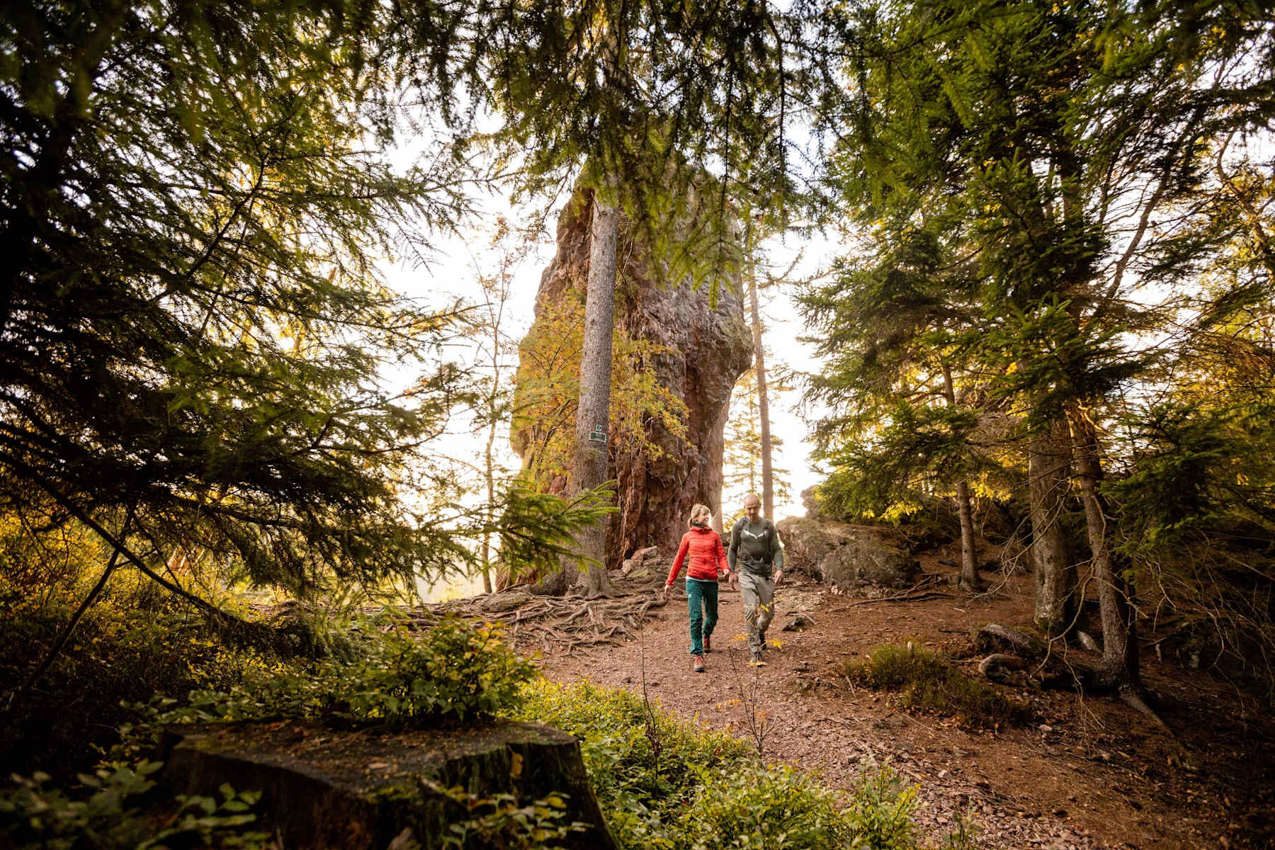 Wandern: Gipfel- und Aussichtstour - Tour 1 - Bad Tabarz - 3:45 h - 11 ...