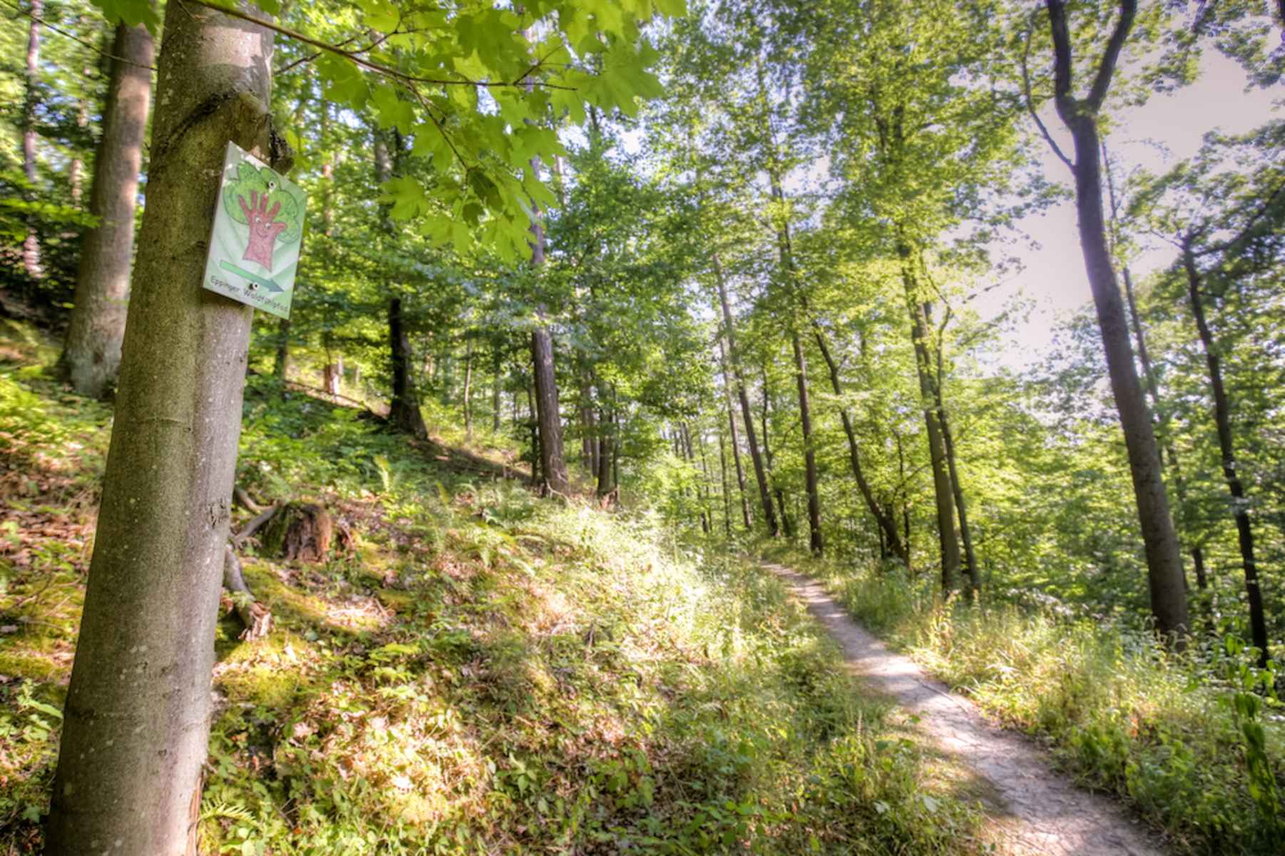 Wandern: Romantische Tour am Eppinger Jgersee - 1:00 h - 3 km -  Bergwelten