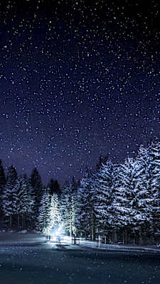 Sternenzelt in den Gutensteiner Alpen in Niederösterreich