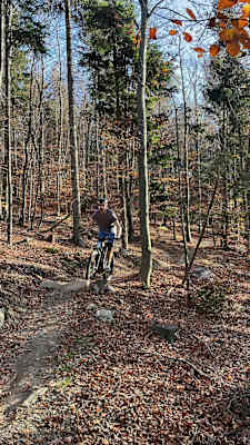 Auf dem Esterházy Single-Trail geht's manchmal auch über Steinbrocken