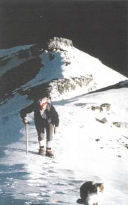 Kater Tomba - die bergsteigende Katze aus der Schweiz, auf dem Weg zum Rinderhorn-Gipfel (1989)