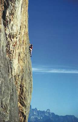 Thomas Bubendorfer Interview