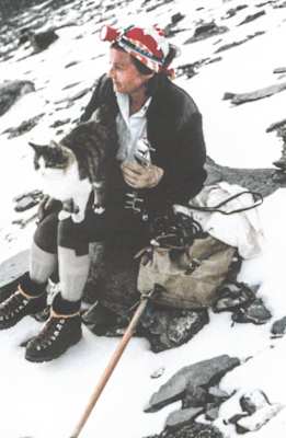 Kater Tomba - die bergsteigende Katze aus der Schweiz, auf dem Weg zum Rinderhorn-Gipfel