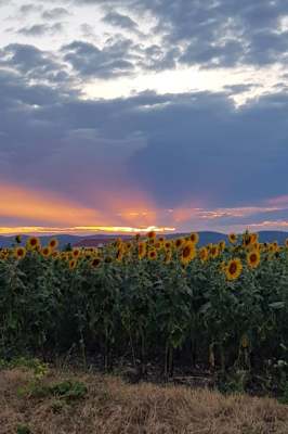 Burgenland Extrem Sommer 2021