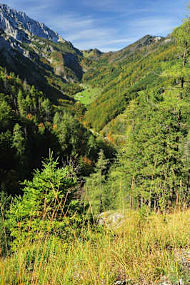 Die Blumeraualm im Nationalpark Kalkalpen