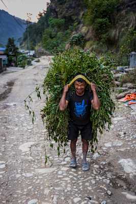 Manaslu Circuit Trek in Nepal