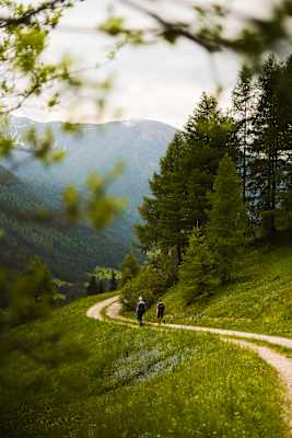 Almweg 2000 im Gsiesertal