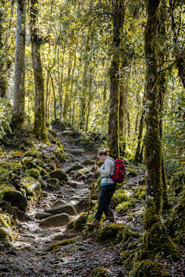 Reise Cost Rica Wandern Cerro Chirripó
