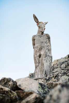 Eine geschmückte Skulptur von Nikola Zaric.