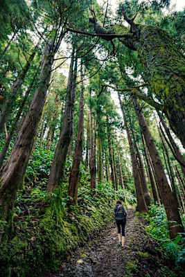 Wandern Azoren