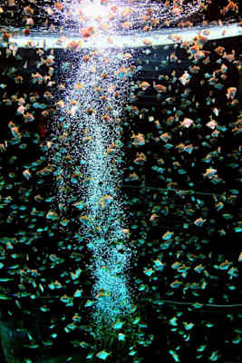 Teneriffa Teide Nationalpark