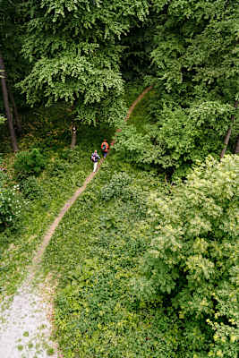 Vom Ithtum aus führen schmale Wanderwege durch den Wald