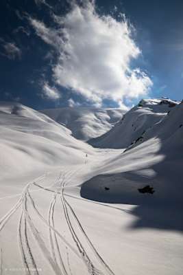 1500 Höhenmeter unverspurter Tiefschnee