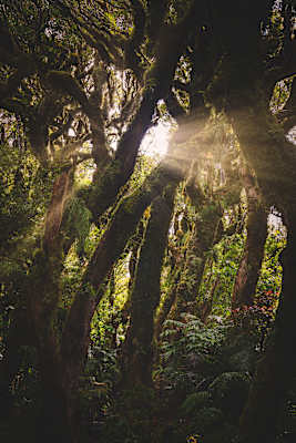 Familienurlaub Neuseeland