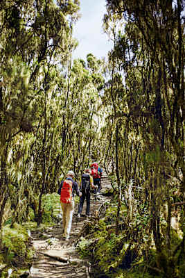 Reise Kilimanjaro