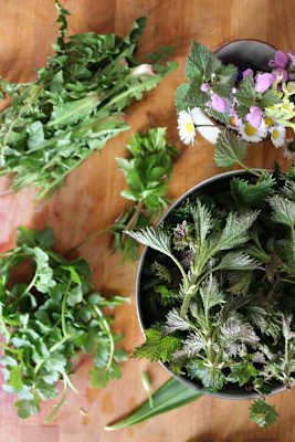 Brennnessel, Löwenzahn, Giersch