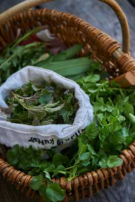 Korb voll mit Wildkräuter
