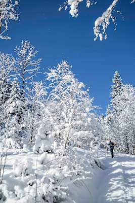 Mit Schneeschuhen durchs Ammergebirge