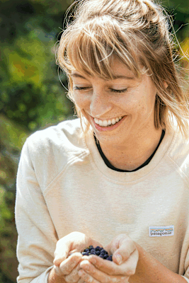 Heidelbeeren findet man reichlich entlang der Wege im Bouldergebiet