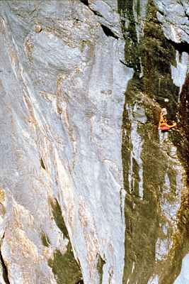 Thomas Bubendorfer Interview