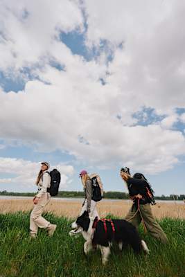 Drei Wandererinnen mit Hund am Wolf Trail in Rügen.
