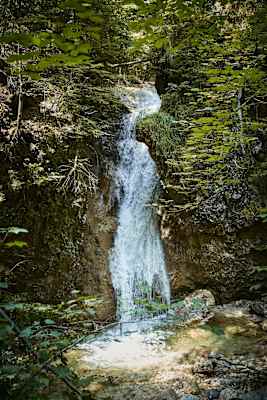 Ob Wildfluss, Wasserfall oder Bergsee - Wasser spielt im Naturpark Ammergauer Alpen eine bedeutende Rolle.