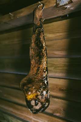 Fermentierte Schafshaxe