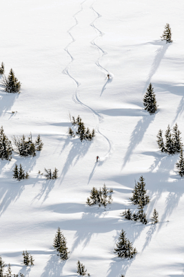 Wundervolle Powderabfahrt vom Kühgundkopf (1.907 m) im Tannheimer Tal