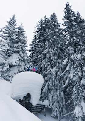 Unfassbare Schneemengen in den Wäldern am Arlberg