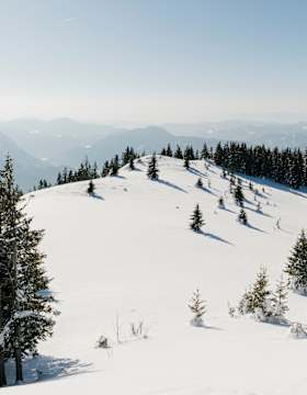 Randgebirge östlich der Mur