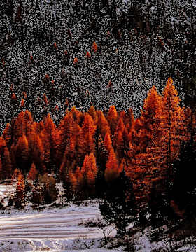 Sobretta-Gavia-Gruppe