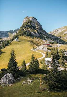 Auf diesen Hang starten die Gleitschirmflieger
